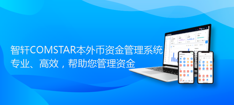 COMSTAR本外币资金管理系统